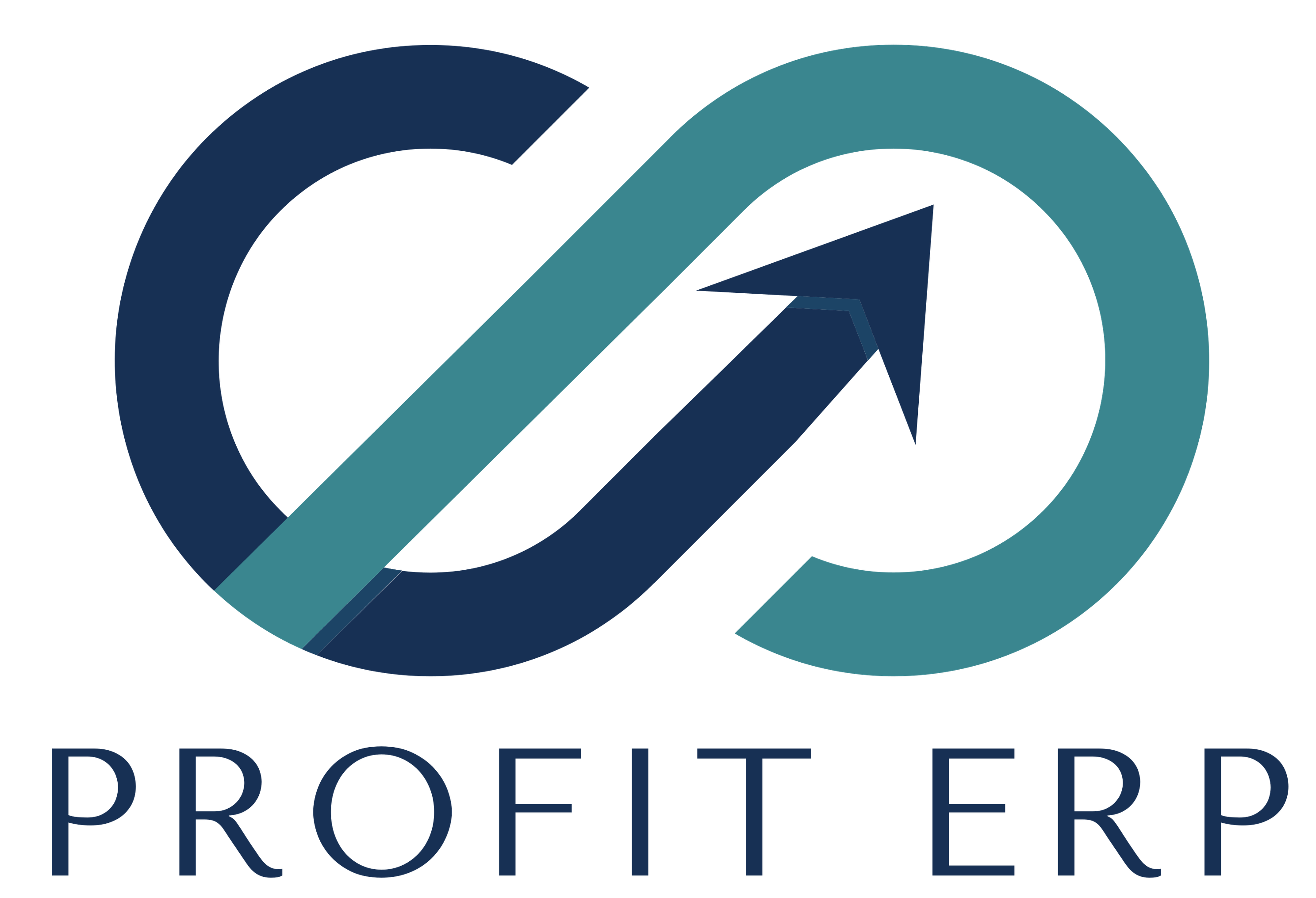 Profit ERP Logo
